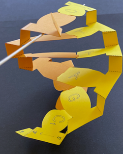 Paper Nucleic Acid Models for Hands-on Education, Dr. Cassandra K. Hayne and Dr. Phoebe A. Rice, The University of Chicago