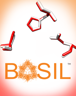 BASIL, RCSB Protein Data Bank, and the NSF; Paul Craig (RIT) and Bonnie Hall (Grand View University)